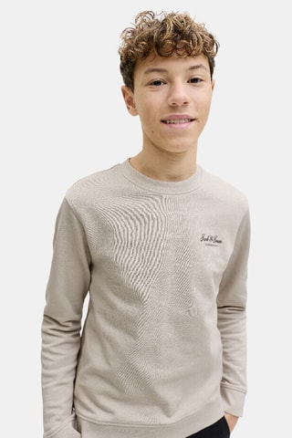Sudadera de algodón orgánico - Beige - Jack&Jones Junior