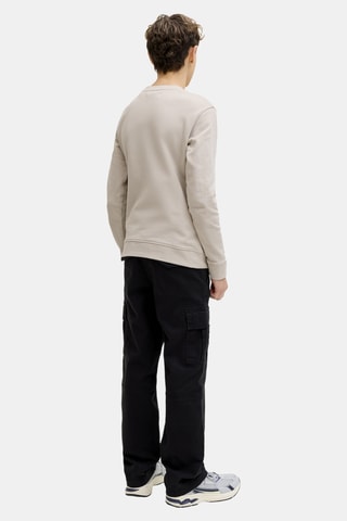 Sudadera de algodón orgánico - Beige - Jack&Jones Junior