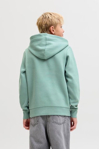 Sweat à capuche en coton biologique  -  Vert d 'eau