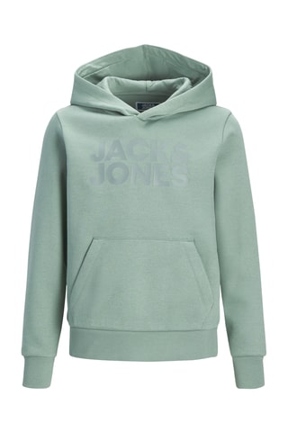 Sweat à capuche en coton biologique  -  Vert d 'eau