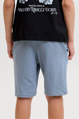 Bermuda regular en coton biologique  - Jack&Jones -  Ciel