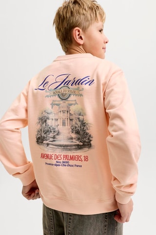 Sweat en coton biologique  - Jack&Jones -  Rose