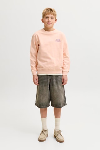 Sweat en coton biologique  - Jack&Jones -  Rose