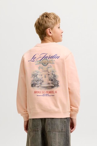 Sweat en coton biologique  - Jack&Jones -  Rose