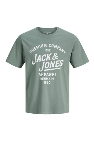 Biologisch Katoenen T-shirt Regular Fit -  Groen
