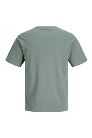 Biologisch Katoenen T-shirt Regular Fit -  Groen