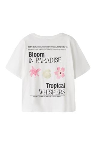 Camiseta regular fit de algodón orgánico -  Blanco