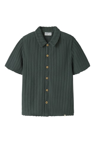 Camisa regular fit -  Verde