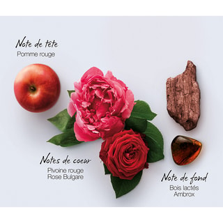 In Red Eau de parfum - Oriental floral - 100 ml
