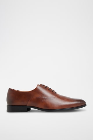 Oxford Singleton - Cammello