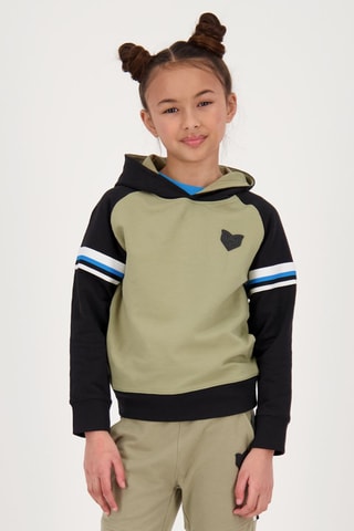 Sweater met Capuchon Nikolas - Groen - Groen