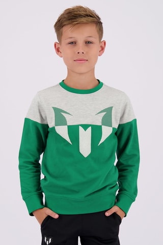 Sweater Nessi - Groen - Groen en grijs