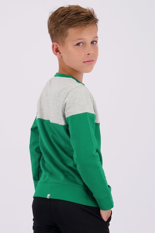 Sweater Nessi - Groen - Groen en grijs