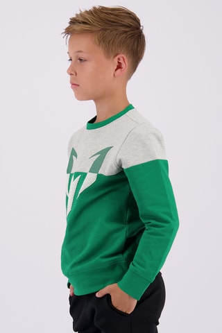 Sweater Nessi - Groen - Groen en grijs
