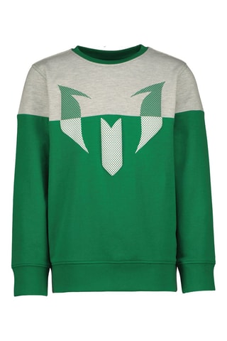 Sweater Nessi - Groen - Groen en grijs