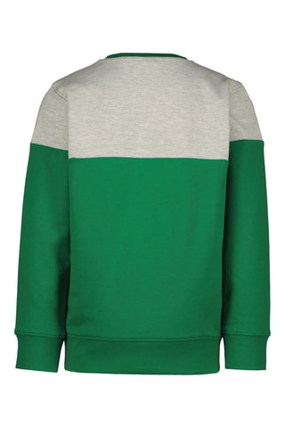 Sweater Nessi - Groen - Groen en grijs