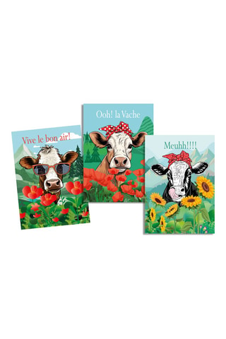 3 paños Funnycow - Verde y azul