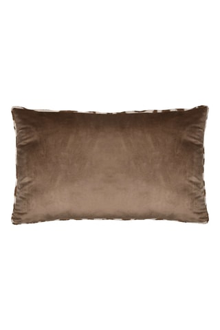 Cojín - Beige - 50 x 80 cm