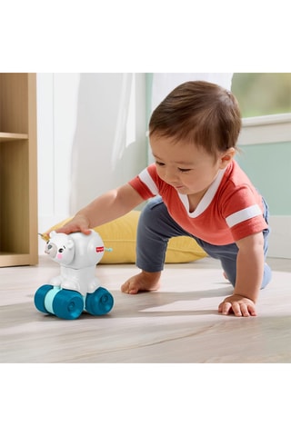 Oso polar Press n’ Go - Desde 9 meses