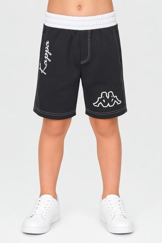 Short polar - Negro