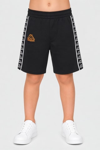 Short polar - Negro