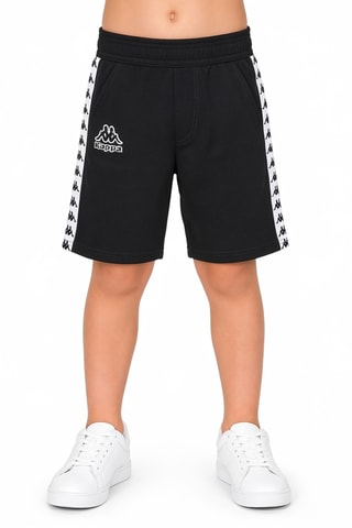 Short polar - Negro