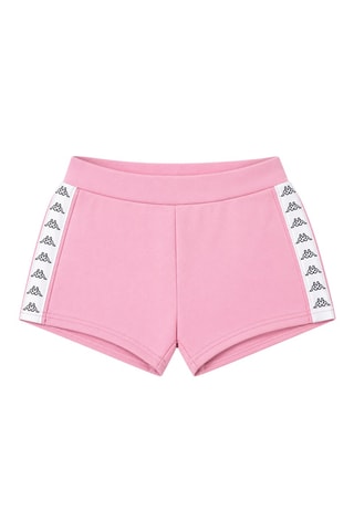 Short polar - Rosa