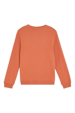 Sudadera - Coral