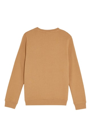 Sudadera - Camel