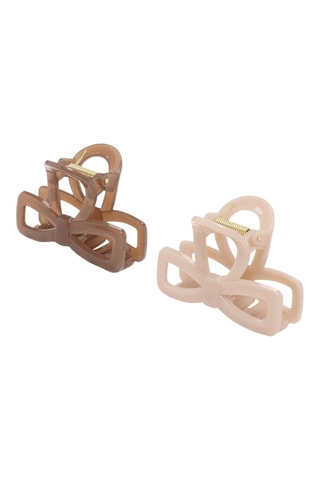 2 pinze per capelli - Marrone