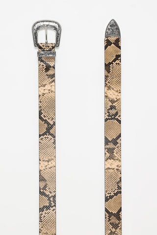 Cintura - Marrone