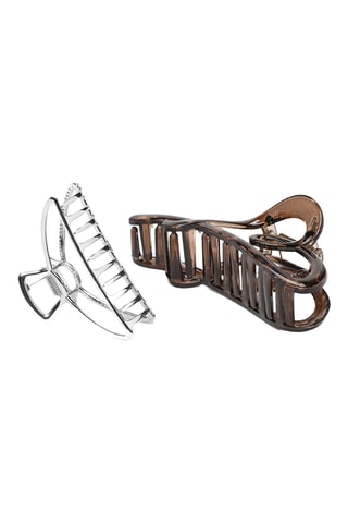 2 pinze per capelli - Marrone