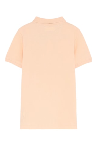 Polo - Corallo