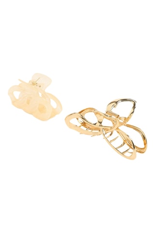 2 pinze per capelli - Beige e dorato