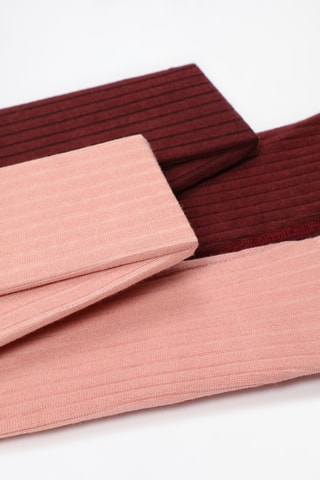 2 collant - Bordeaux e rosa
