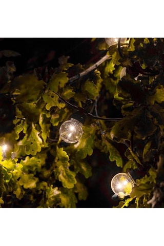2 guirnaldas luminosas de interior y exterior 10 LED solares Party Clear Solar - 6 m