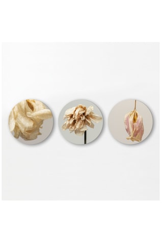 3 tableaux - 3 x (30 x 30 cm)