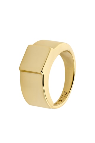 Anillo Friends - Chapado en oro amarillo