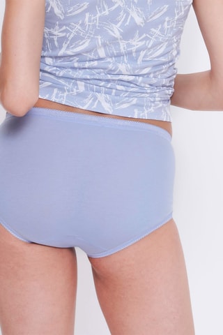 3 cuecas Basic Midi - Azul e branco - Branco e azul