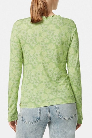 Top - Vert