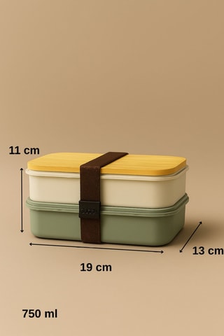 2 lunch boxs - 13 x 19 x 5 / 13 x 19 x 6 cm