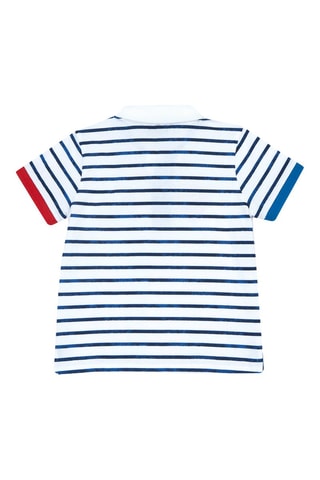 Polo - Wit en Blauw