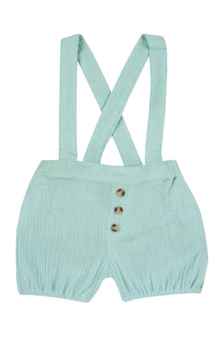 Short Groen