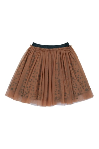 Rok - Bruin