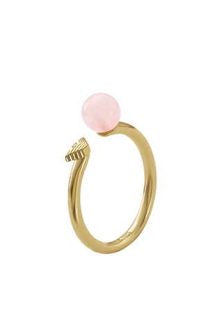 Anillo - Dorado