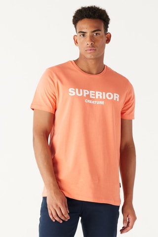 T-shirt - Corallo