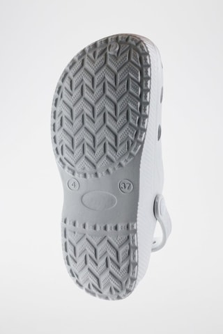 Sabot