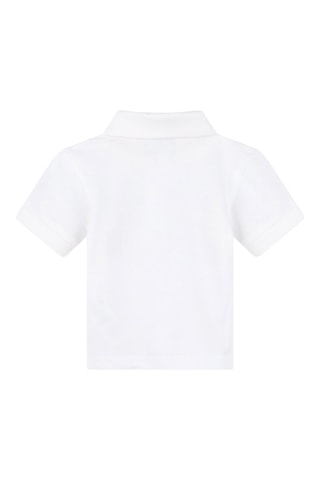 Polo de algodón orgánico - Blanco - Timberland
