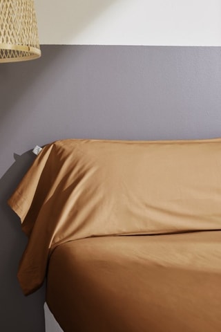 Funda de almohada de percal de algodón 80 hilos/cm² Bally - Marrón