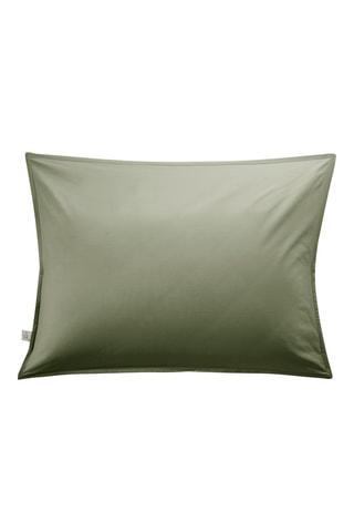 Funda de almohada de percal de algodón 80 hilos/cm² Bally - Verde